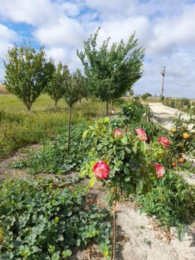 Vila La Crotiniere Marmagne  Exteriér fotografie